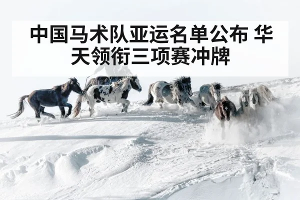 中国马术队亚运名单公布 华天领衔三项赛冲牌