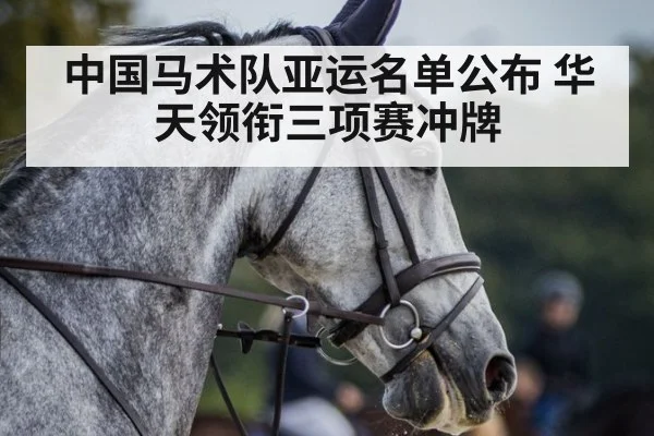 Hua Tian eventing horse